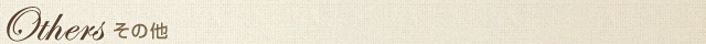 その他